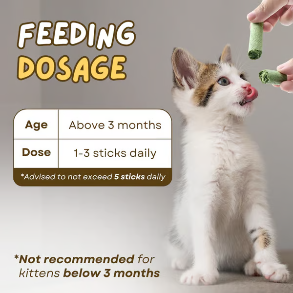 Cat Grass Teething Sticks ~ Daily treat for fresher breath & fewer hairballs