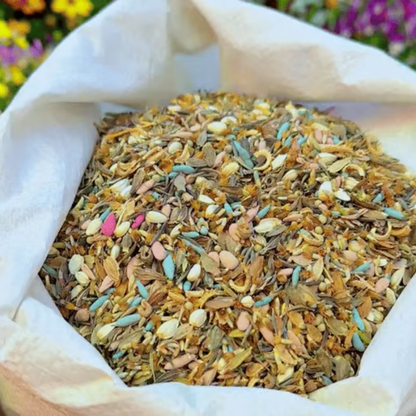 Perennial Wildflower Mixed Seeds (1000 Seeds) ~ Year-round color with one easy planting
