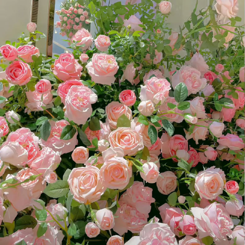 Climbing Rose Seeds ~ Transform fences into floral walls naturally_