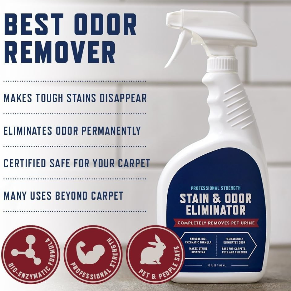Stain & Odor Eliminator Spray ~ Lift urine, vomit, and odors with enzyme-powered cleaning