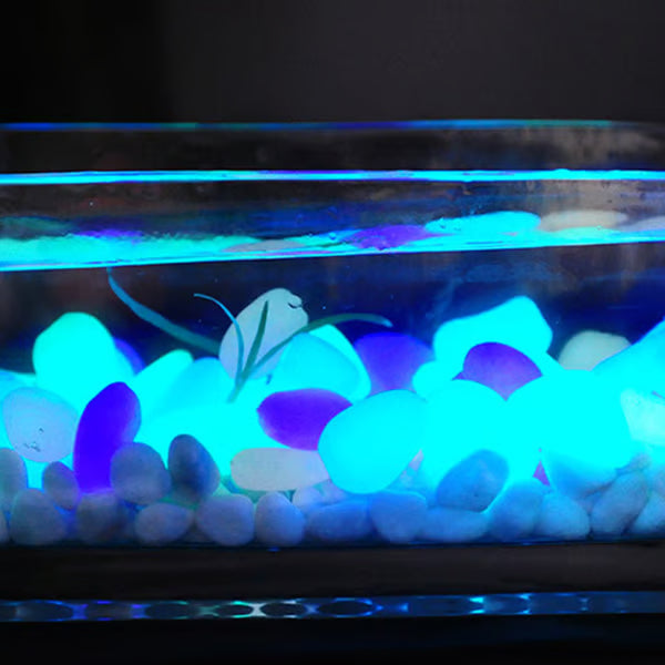 Solar Powered Glow Rocks ~ Transform pathways into a glowing nightscape.
