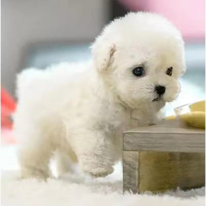 Realistic Robot Puppy ~ The dog your landlord can’t ban.