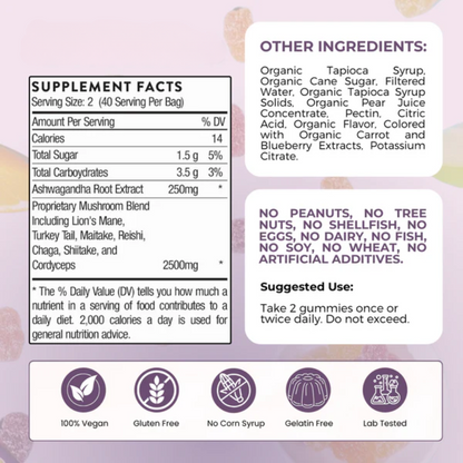 Mushroom Gummies ~ Support memory, immunity & mental performance