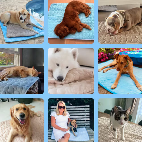 Dog Cooling Mat ~ Instant heat relief without freezing or plugging in