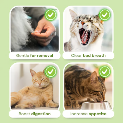 Cat Grass Teething Sticks ~ Daily treat for fresher breath & fewer hairballs