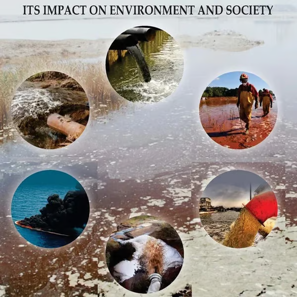 Digital Water Tester ~ Test drinking water, pools, and more