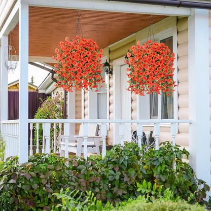 Hanging Morning Glory ~ Year-round floral charm, no watering needed