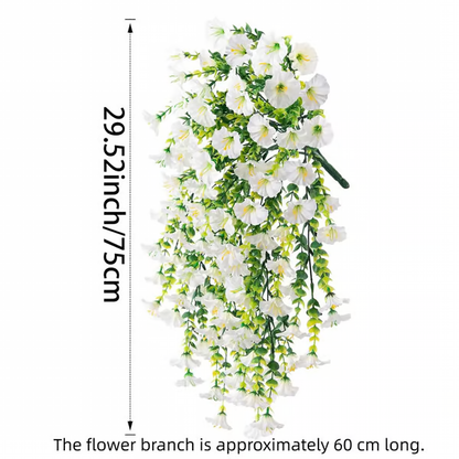 Hanging Morning Glory ~ Year-round floral charm, no watering needed