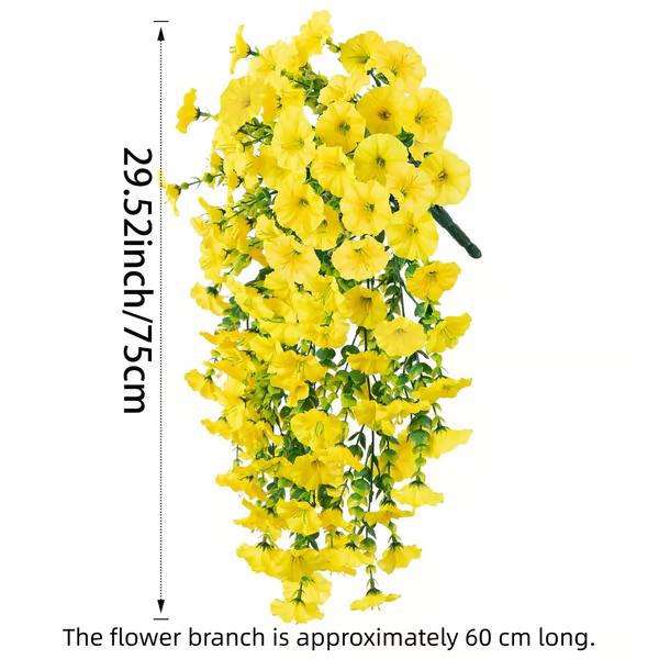 Hanging Morning Glory ~ Year-round floral charm, no watering needed