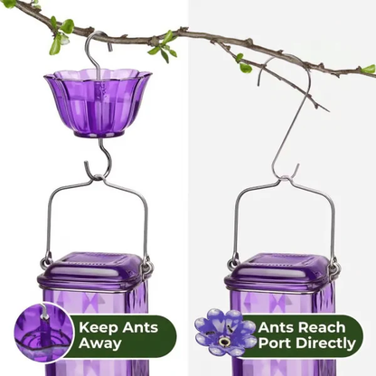 Hummingbird Feeder ~ Turn your backyard into a hummingbird haven