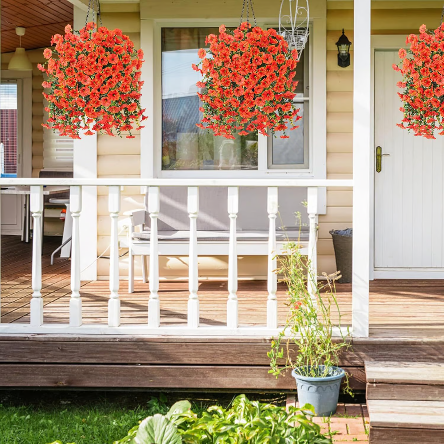 Hanging Morning Glory ~ Year-round floral charm, no watering needed