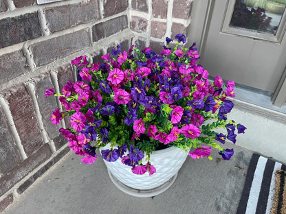 Hanging Morning Glory ~ Year-round floral charm, no watering needed