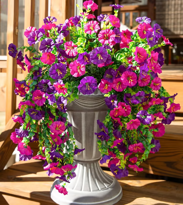 Hanging Morning Glory ~ Year-round floral charm, no watering needed