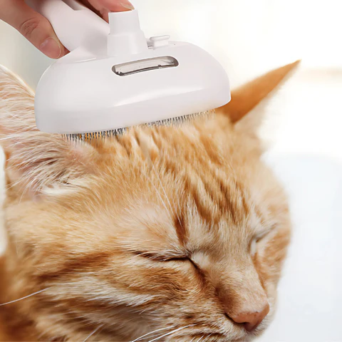 Pet Gentle Grooming Brush ~ Tame shedding and keep fur off your floors