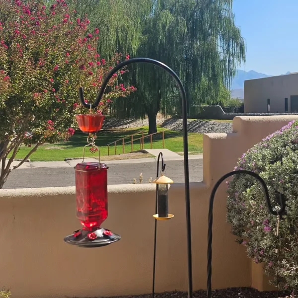 Hummingbird Feeder ~ Turn your backyard into a hummingbird haven