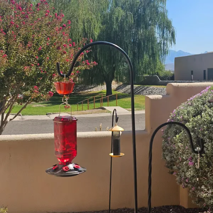 Hummingbird Feeder ~ Turn your backyard into a hummingbird haven