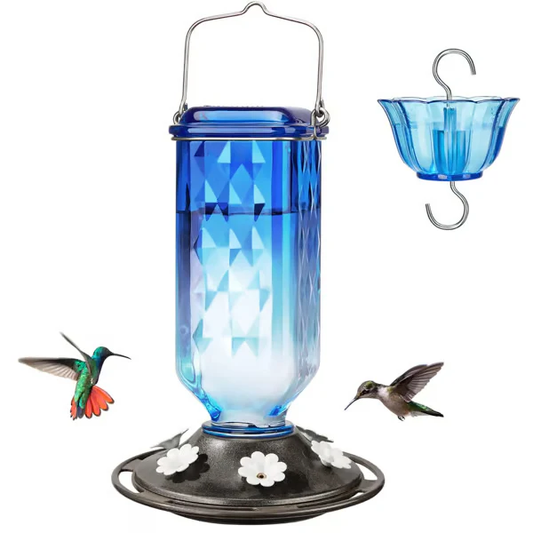 Hummingbird Feeder ~ Turn your backyard into a hummingbird haven