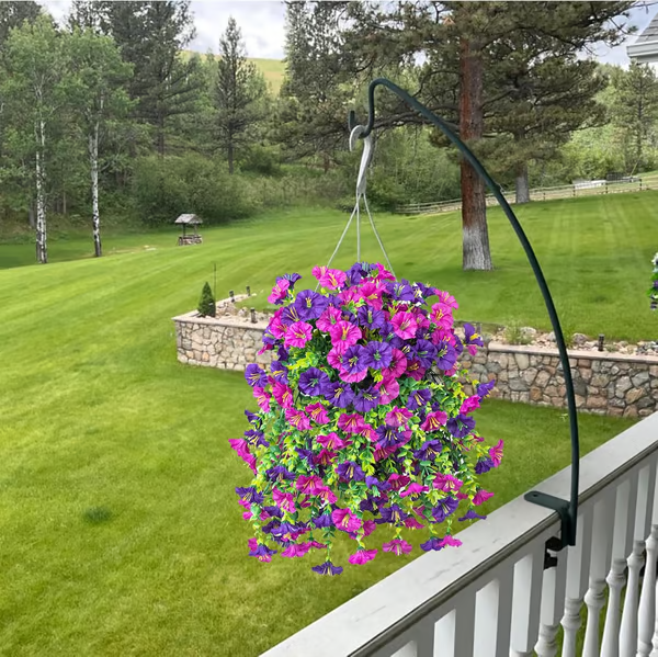 Hanging Morning Glory ~ Year-round floral charm, no watering needed