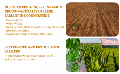 Turmeric Ginger Cinnamon Tea ~ Support digestion, calm inflammation, and relax naturally