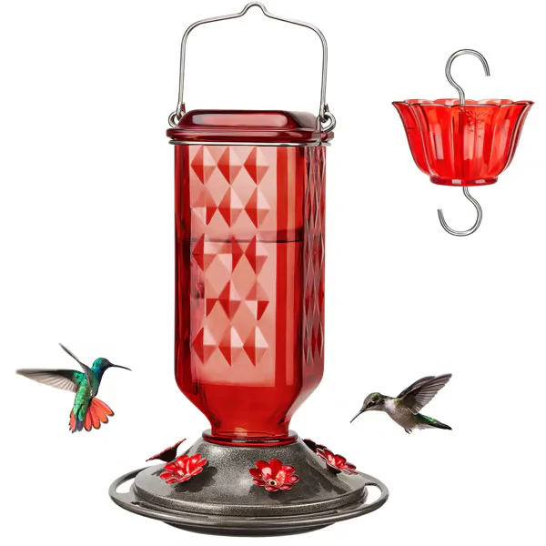 Hummingbird Feeder ~ Turn your backyard into a hummingbird haven