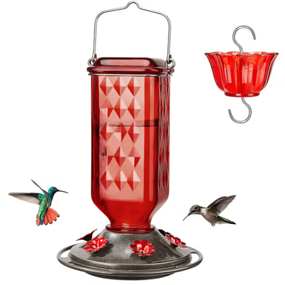 Hummingbird Feeder ~ Turn your backyard into a hummingbird haven