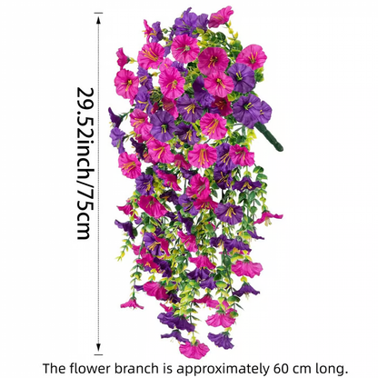 Hanging Morning Glory ~ Year-round floral charm, no watering needed